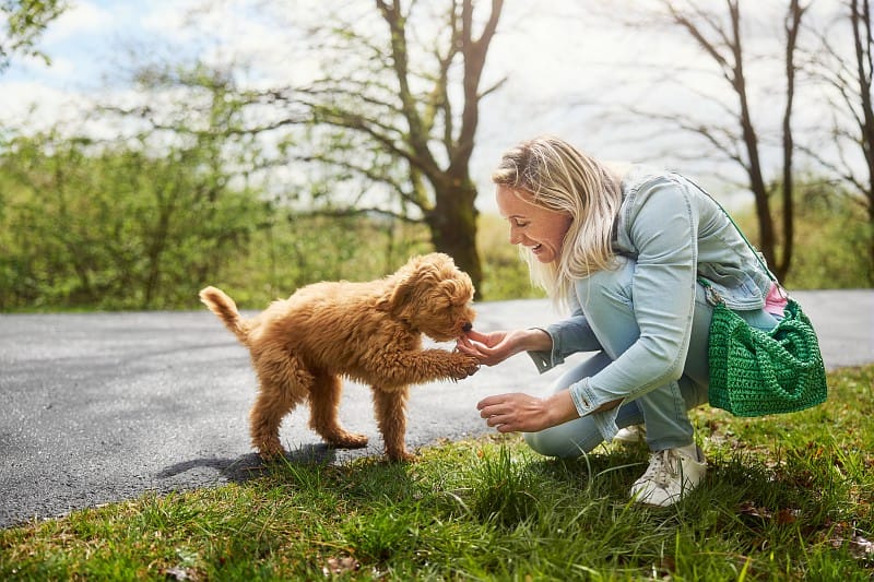 Mujer con perro en el parque