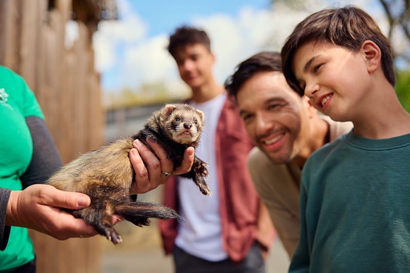 Padre e hijos en el parque