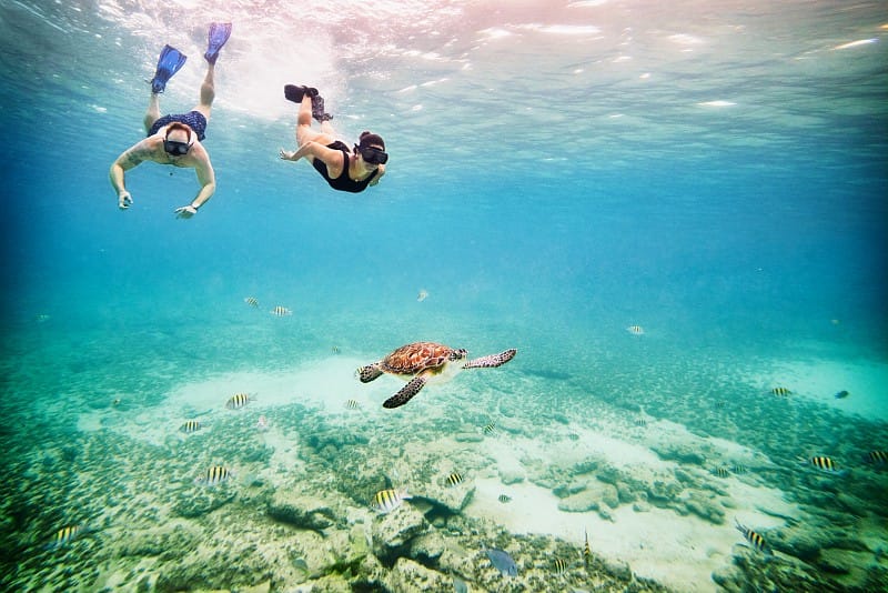 Pareja practicando snorkel juntos
