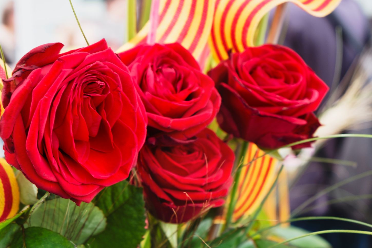 Flores Sant Jordi Cataluña