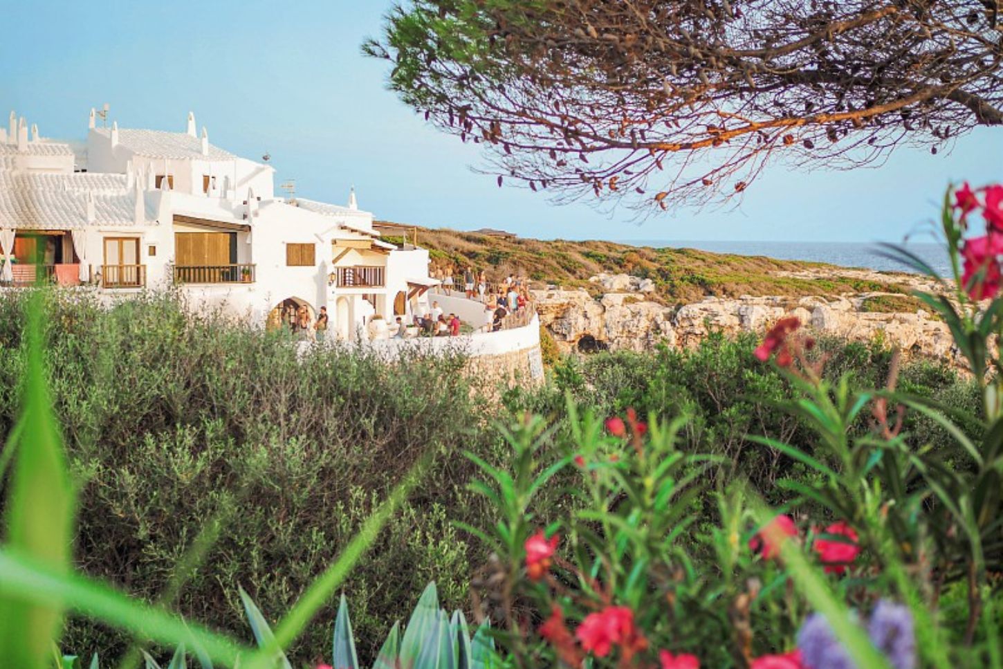 Flores silvestres en Menorca