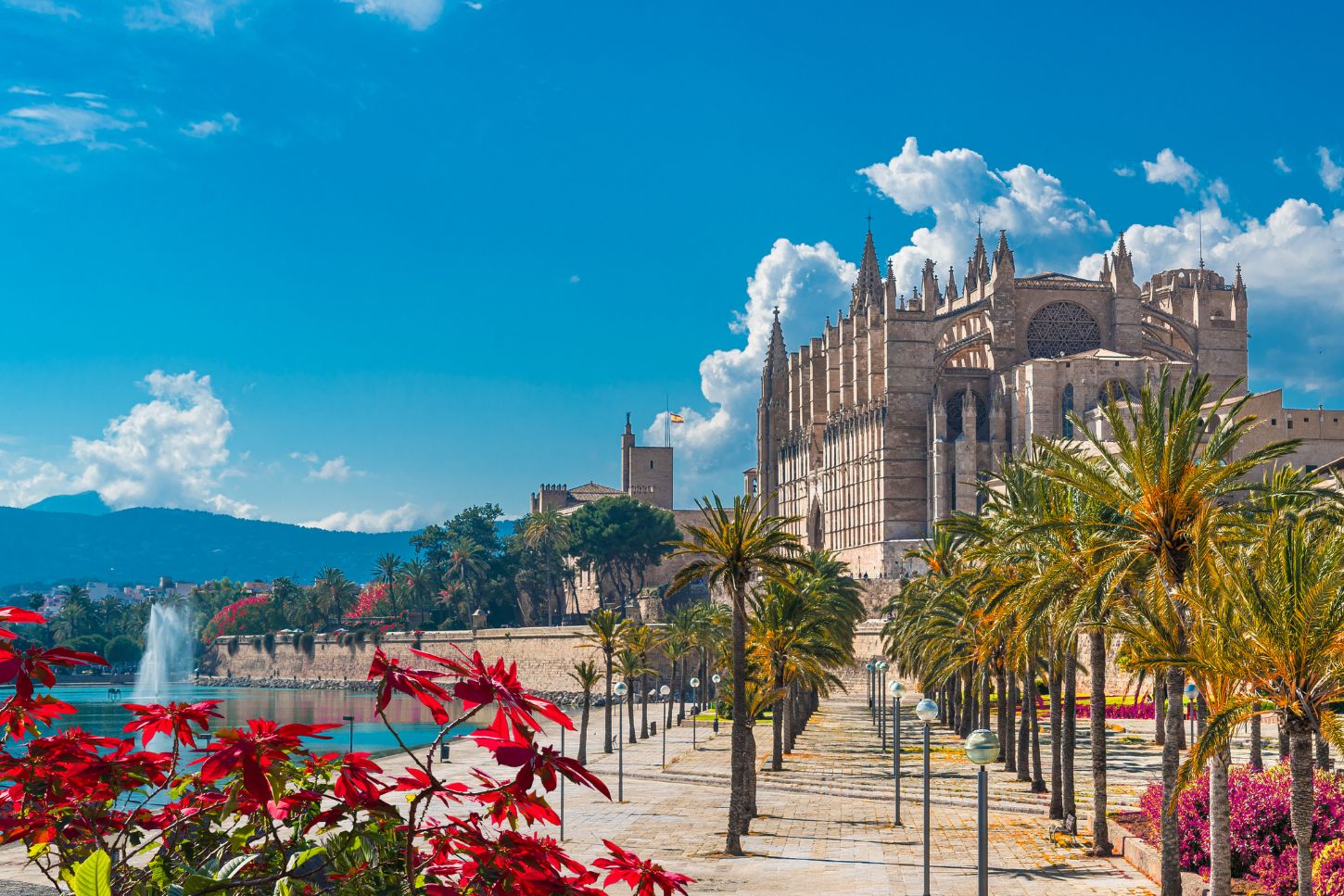 La floración de almendros en Mallorca