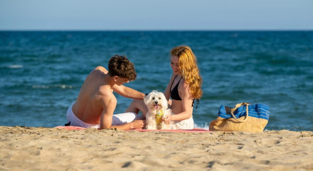 pareja-perro-maltes-playa-atardecer