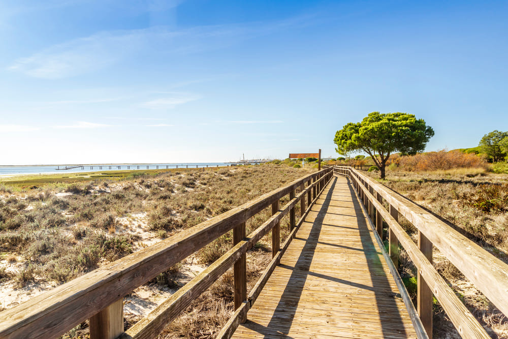 Reserva Natural de Ria Formosa