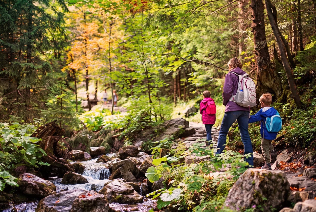 Familia en bosque buscando setas