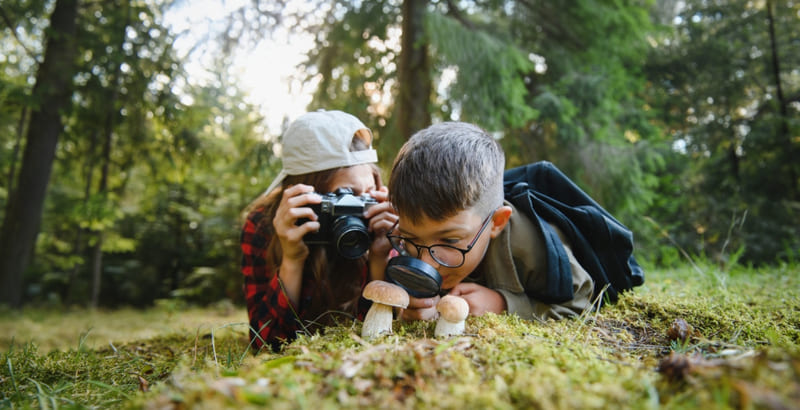 Niños observando setas otoño