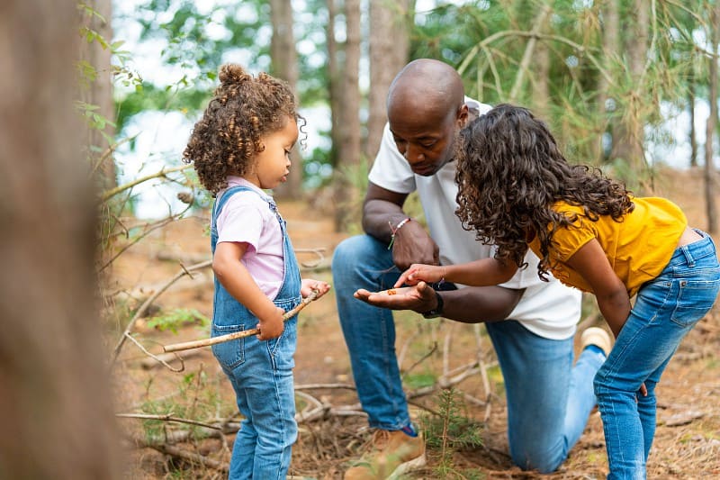 Familia buscando setas en otoño