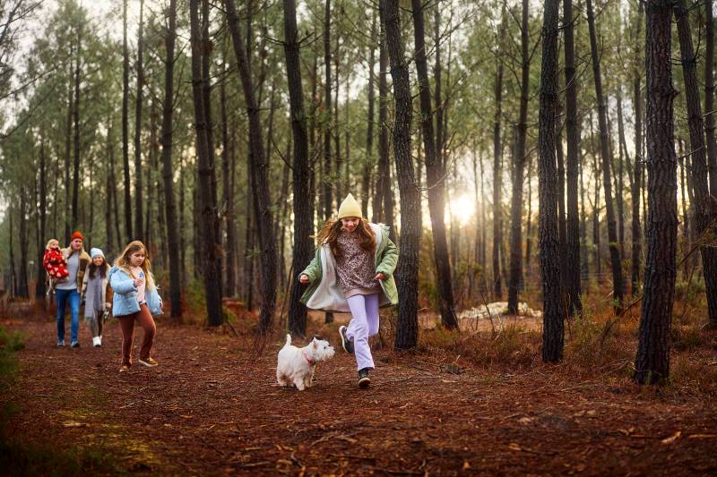 planes familia otoño