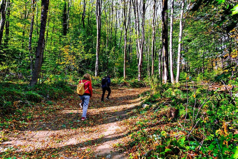 Personas ruta otoño Parque Natural del Montseny